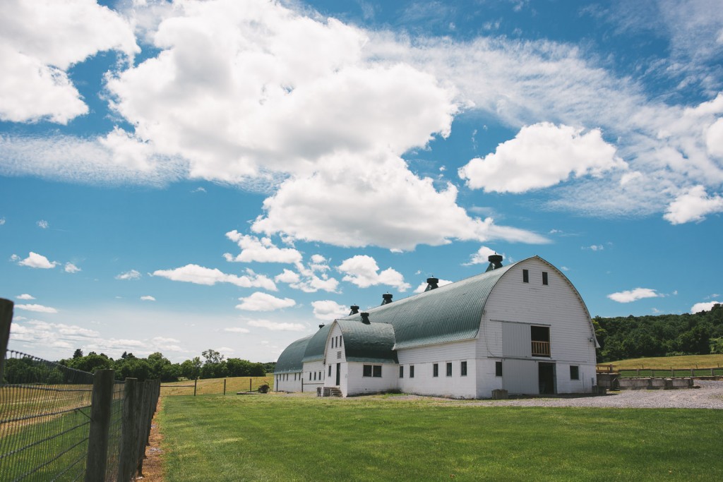 Tom Studios Wedding Photography at MKJ Farm