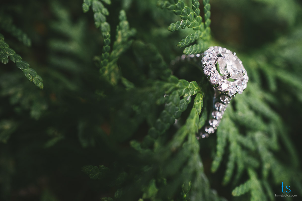 Cassie and Kevin's Engagement session in Clinton with Tom Studios