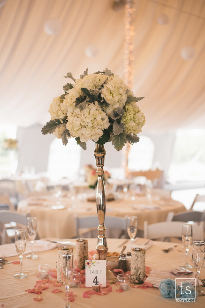 Kaitlin and Michael's wedding at Timber banks with Tom Studios