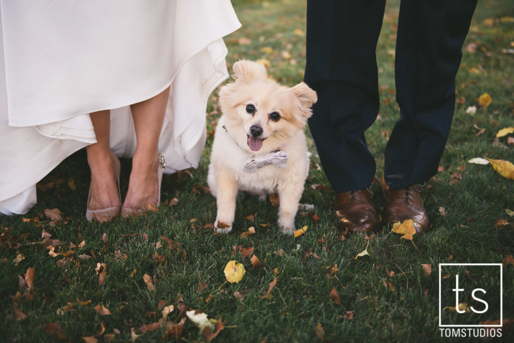 andrea_james_wedding-640
