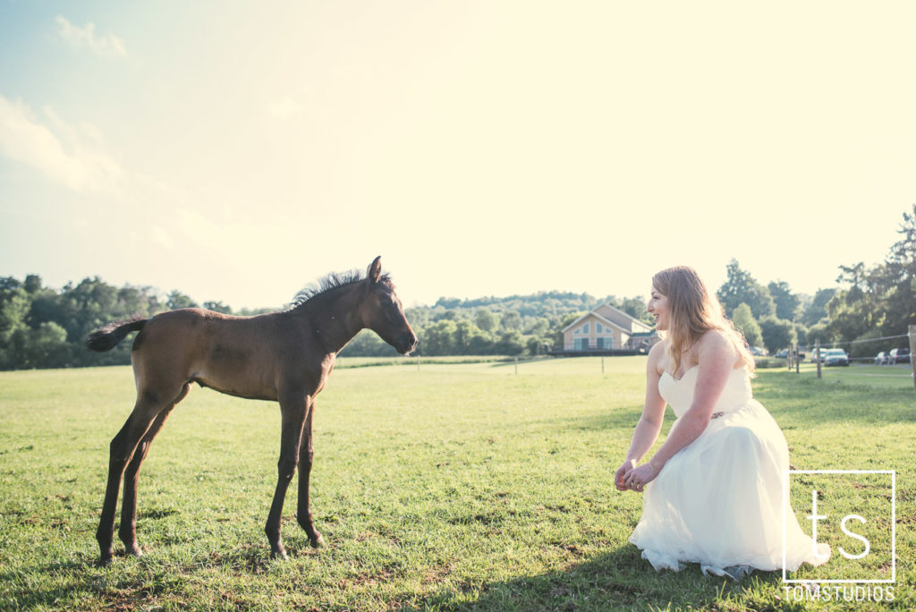 michelle_adam_wedding-519