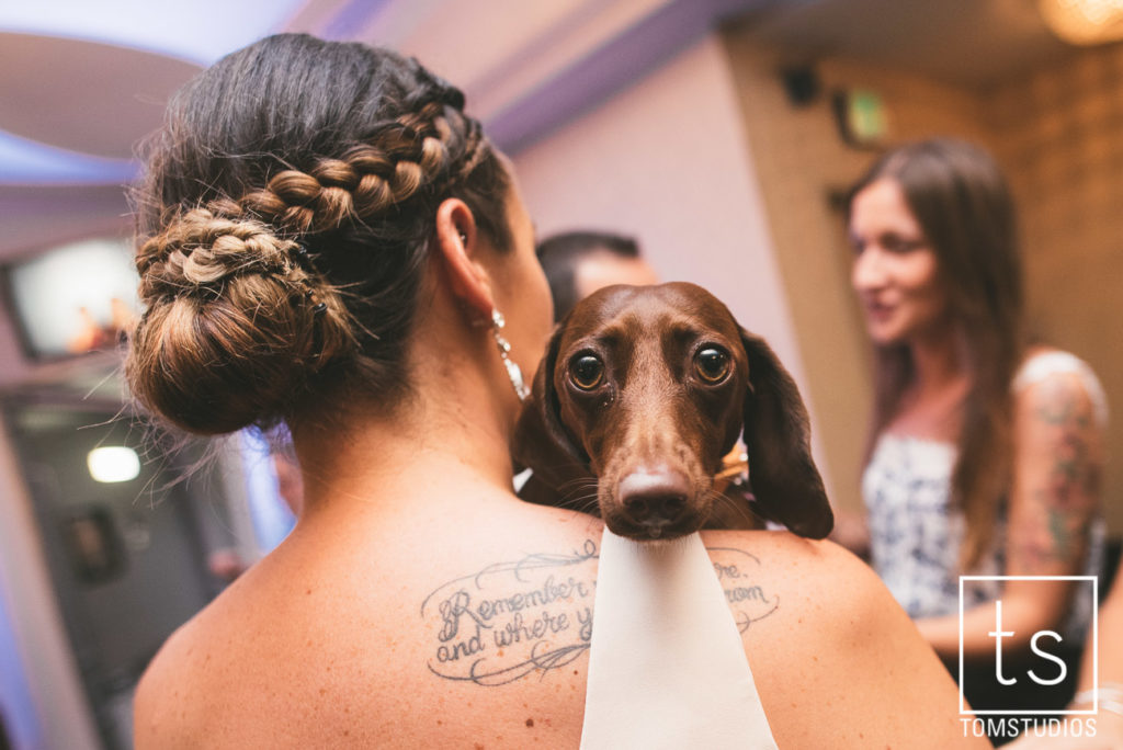 samantha_veldin_wedding-1064